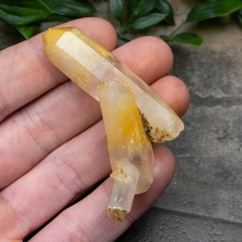 Mango Quartz #15