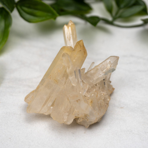 Mango Quartz #11