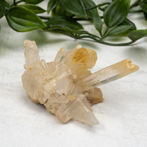 Mango Quartz #11