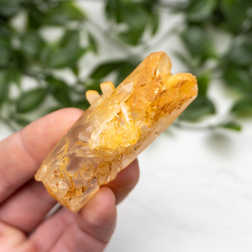 Mango Quartz #10
