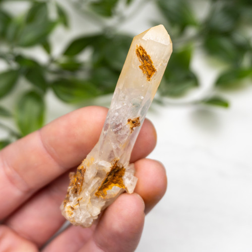 Mango Quartz #9