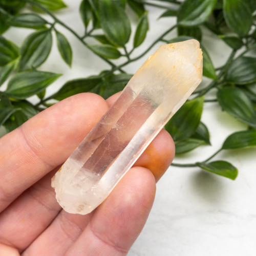 Mango Quartz #6