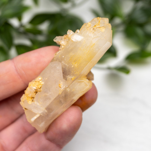 Mango Quartz #5