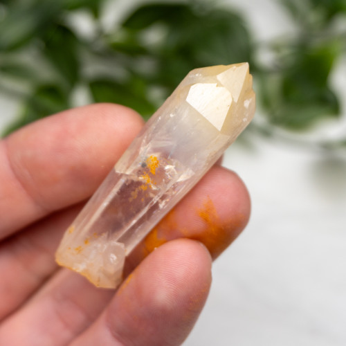 Mango Quartz #4