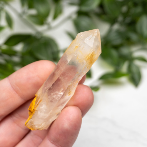 Mango Quartz #3