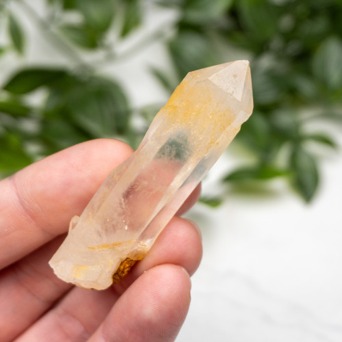 Mango Quartz #3