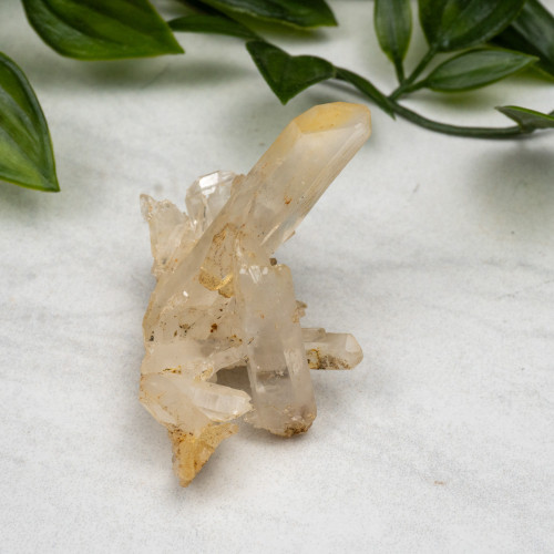 Mango Quartz #2