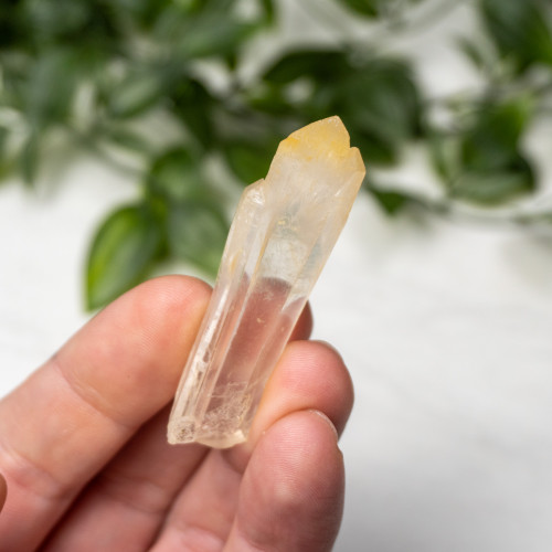 Mango Quartz #1