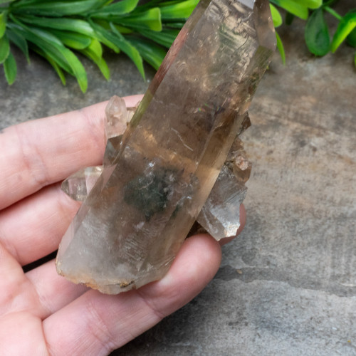 Smoky Phantom Quartz #3