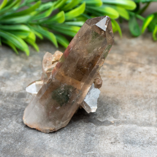Smoky Phantom Quartz #3