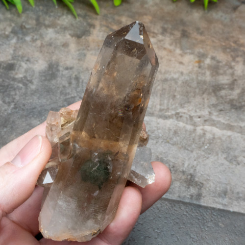 Smoky Phantom Quartz #3