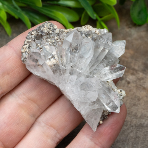 Quartz Fan Formation #1