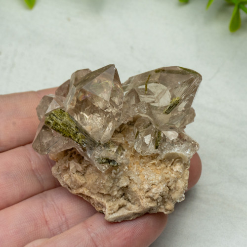 Epidote in Quartz #3