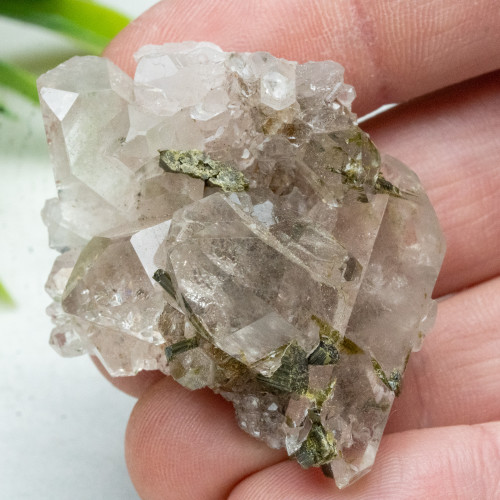 Epidote in Quartz #1