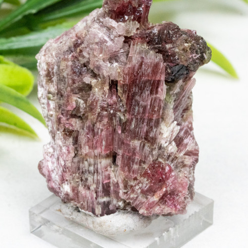 Rubellite (Red Tourmaline) #1