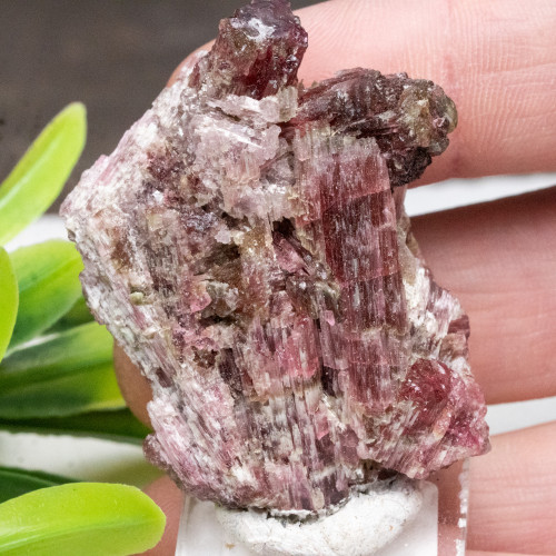 Rubellite (Red Tourmaline) #1