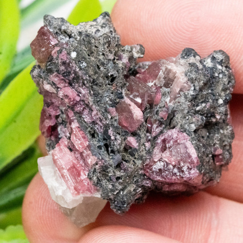 Rubellite (Red Tourmaline) #3