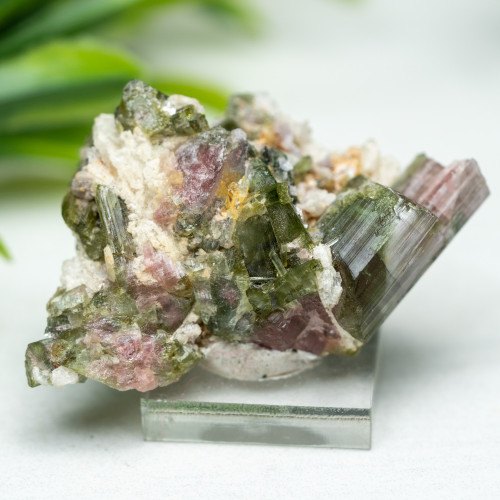 Watermelon Tourmaline #1