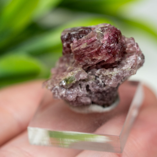 Rubellite (Red Tourmaline) #2
