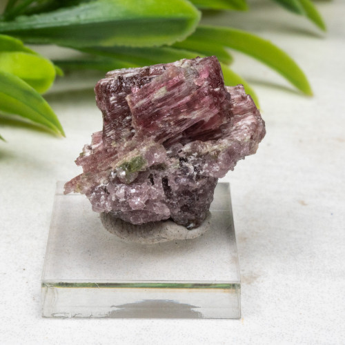 Rubellite (Red Tourmaline) #2