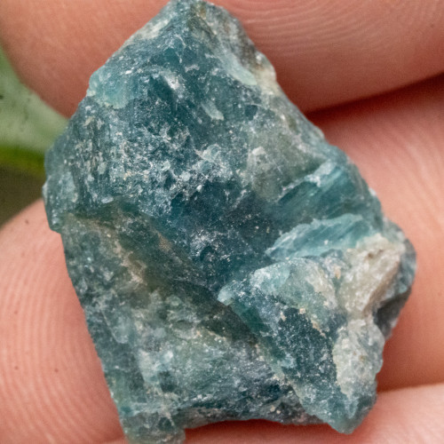 Grandidierite Raw Small #9