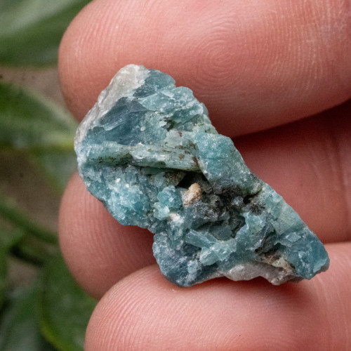 Grandidierite Raw Small #4