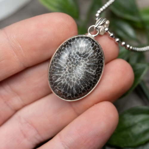 Fossilized Coral Necklace #1