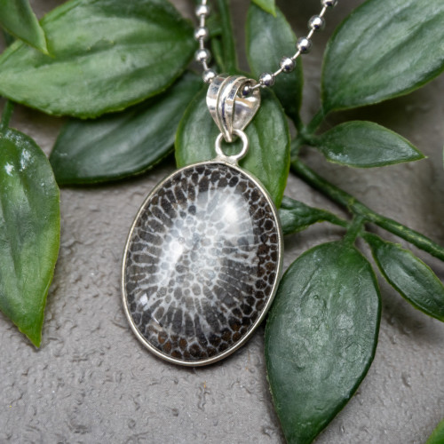 Fossilized Coral Necklace #1