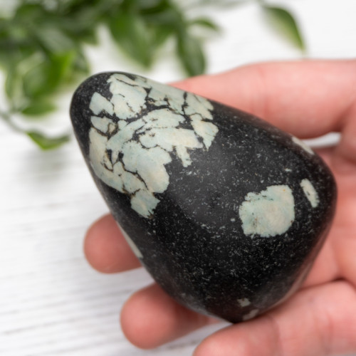 Chinese Writing Stone Polished #10