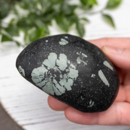 Chinese Writing Stone Polished #9