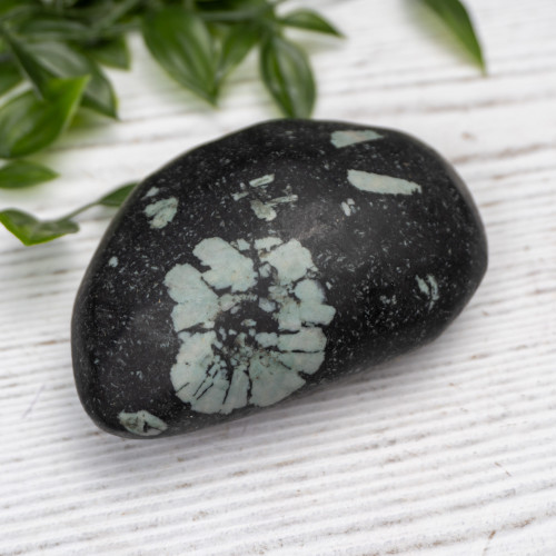 Chinese Writing Stone Polished #9