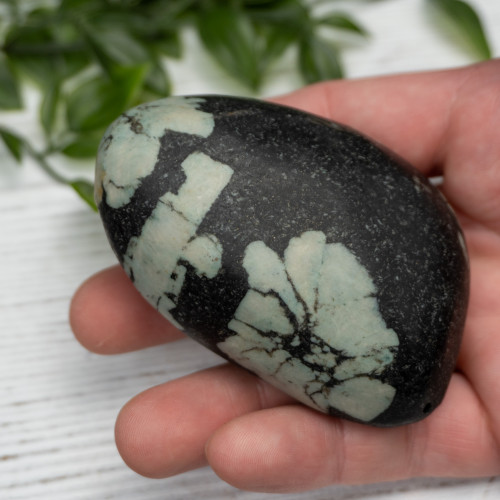 Chinese Writing Stone Polished #8