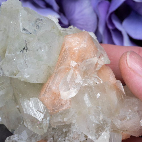 Apophyllite with Stilbite #16