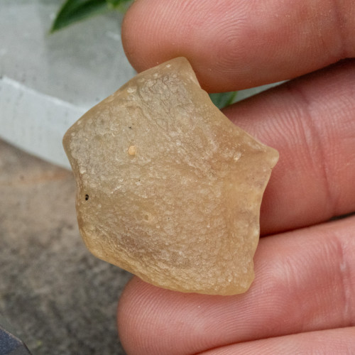 Libyan Desert Glass #7