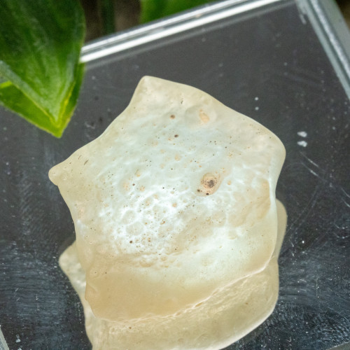 Libyan Desert Glass #7