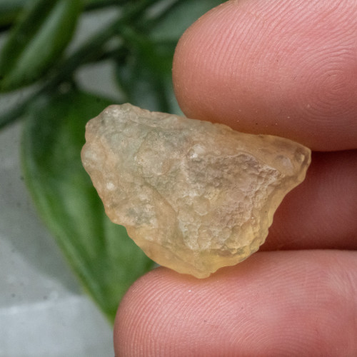 Libyan Desert Glass #3