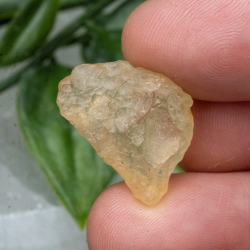 Libyan Desert Glass #3