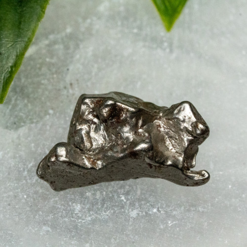 1898 Aletai Meteorite #7