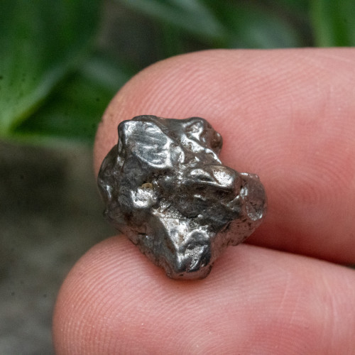 1898 Aletai Meteorite #2