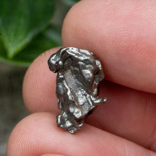 1898 Aletai Meteorite #1