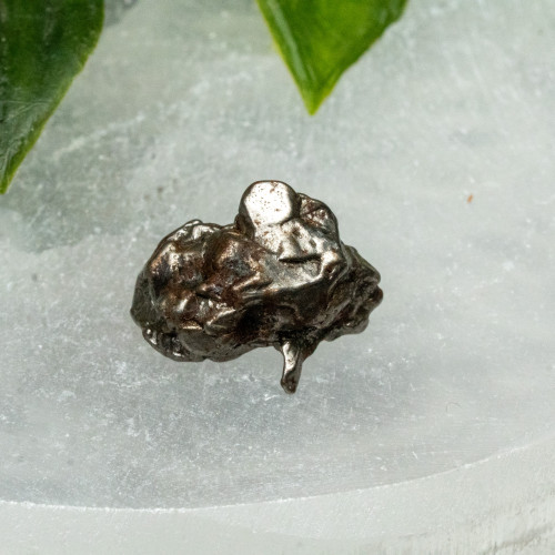 1898 Aletai Meteorite #1