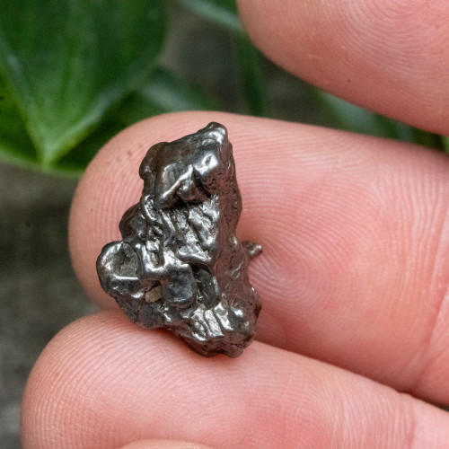 1898 Aletai Meteorite #1