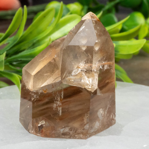Amphibole Quartz Tower #2