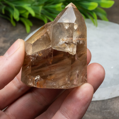 Amphibole Quartz Tower #2