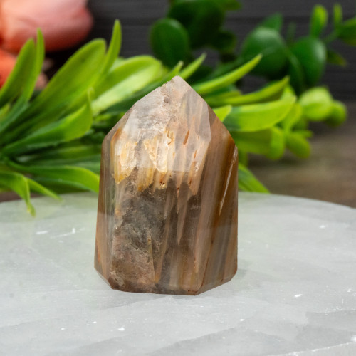 Amphibole Quartz Tower #1