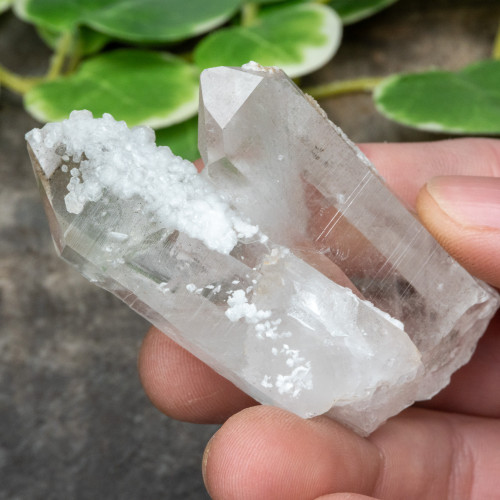 Colombian Quartz #32