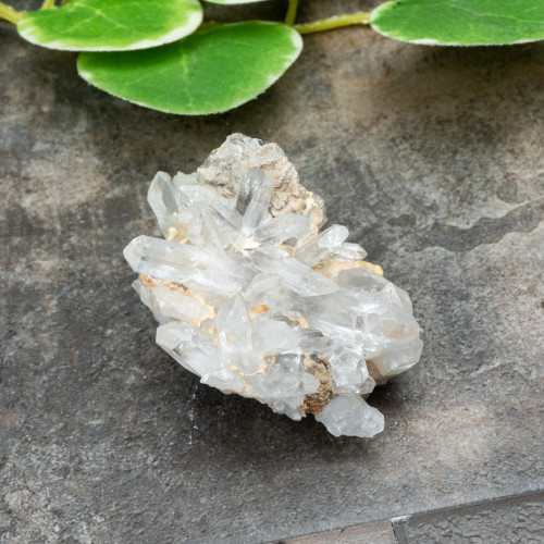 Colombian Quartz #31