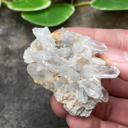 Colombian Quartz #31