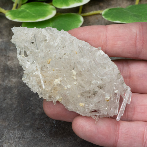 Colombian Quartz #30