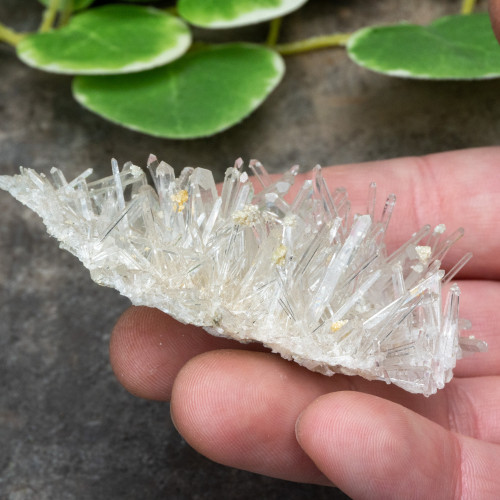 Colombian Quartz #30